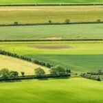 Village Revenue Conferences from Today