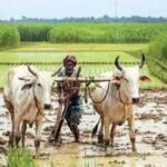 PM Kisan Cash .. Center key statement