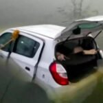 The car crashed into a calve and killed three people