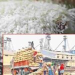 Center for extended period of CMR