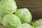 Eating cabbage has immense health benefits