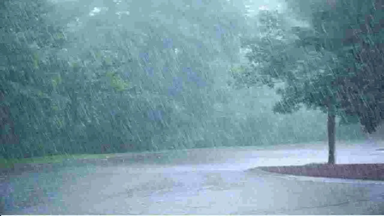 Rains notices...