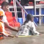 President Draupadi Murmu's holy bath at Triveni Sangam