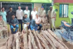 Checks on red sandalwood smuggling