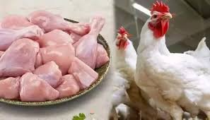 భారీగా పడిపోయిన చికెన్ ధరలు.. కేజీ ఎంతంటే?
