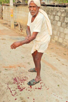 చంద్రవెల్లిలో పిచ్చికుక్కల స్వైర విహారం