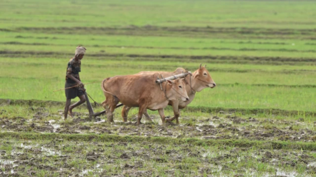 సాదాబైనమా భూములపై కీలక నిర్ణయం.. లక్షలాది రైతులకు ఊరట!