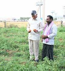 సూరంపల్లిలో రైతుతో ముఖాముఖి.. పంటల పరిస్థితి తెలుసుకున్న చంద్రబాబు