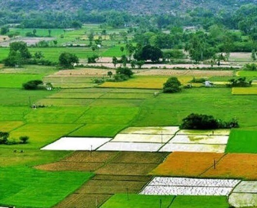 సాదా బైనామా భూముల రిజిస్ట్రేషన్‌కు ఆన్‌లైన్ దరఖాస్తులు ప్రారంభం