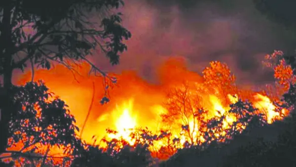 శేషాచలం అడవుల్లో అగ్నికీలలు.. అప్రమత్తమైన అటవీ సిబ్బంది