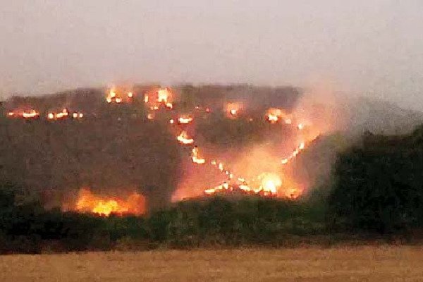 నల్లమలలో మళ్లీ కార్చిచ్చు.. విస్తరిస్తున్న మంటలు