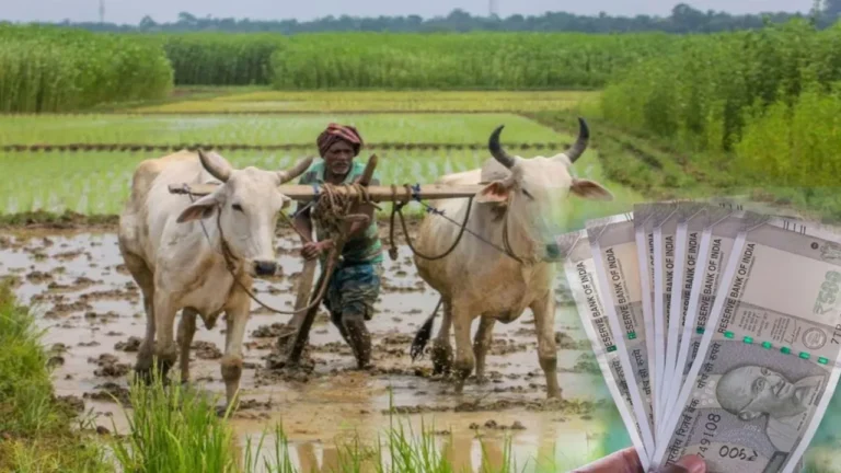 రైతులకు శుభవార్త.. పీఎం కిసాన్ దరఖాస్తులు ప్రారంభం.. ఖాతాల్లో రూ.6,000 జమ