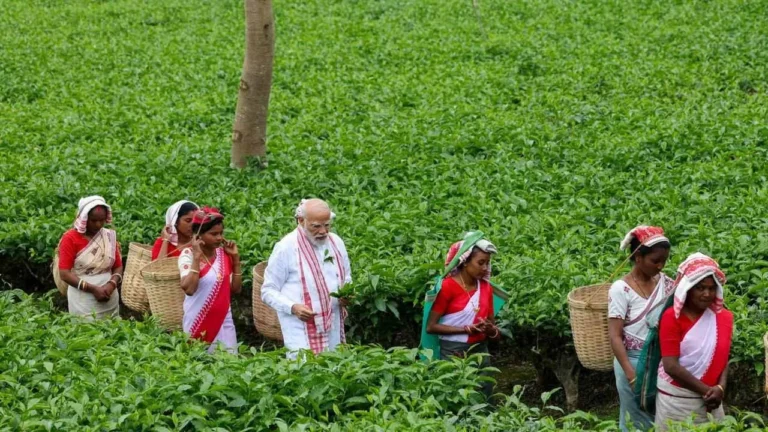 అస్సాంలో టీ తోటలో మోదీ సందడి