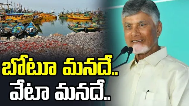 మత్స్యకారులకు ప్రభుత్వం అండగా ఉంది: సీఎం చంద్రబాబు