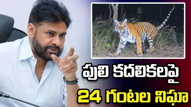 పులి సంచారంతో అప్రమత్తం.. కీలక ఆదేశాలు జారీ చేసిన పవన్ కళ్యాణ్