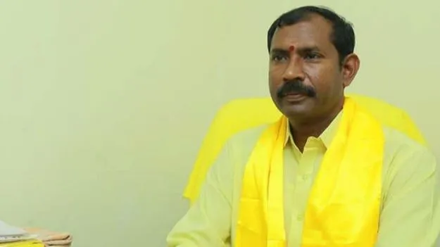 గిన్నిస్ రికార్డు లక్ష్యంగా టీడీపీ మహానాడు: పల్లా శ్రీనివాసరావు