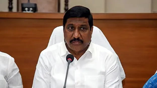 గ్రీన్‌ఫీల్డ్‌ పోర్టుల పనులు వేగవంతం చేయాలి: మంత్రి బీసీ జనార్దనరెడ్డి