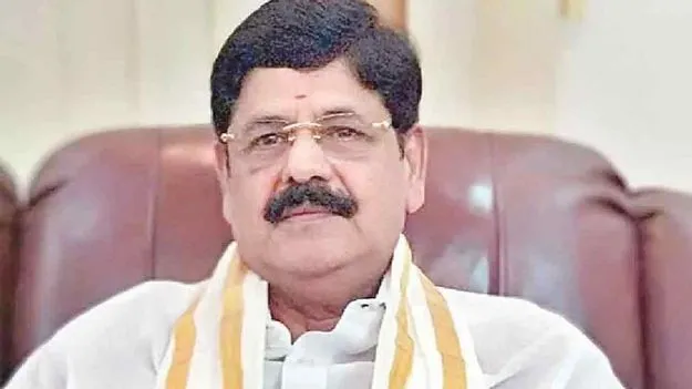 నెల్లూరులో మహానాడు ఘనంగా.. భారీ ఏర్పాట్లు: మంత్రి ఆనం